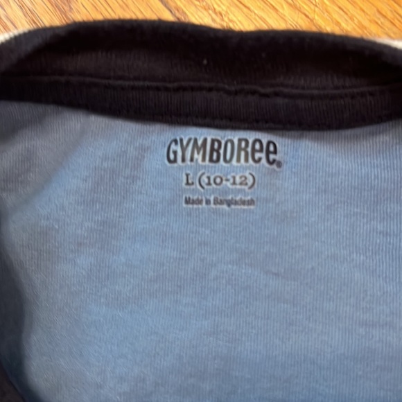 Gymboree Color-blocked cotton Tee - Picture 4 of 4